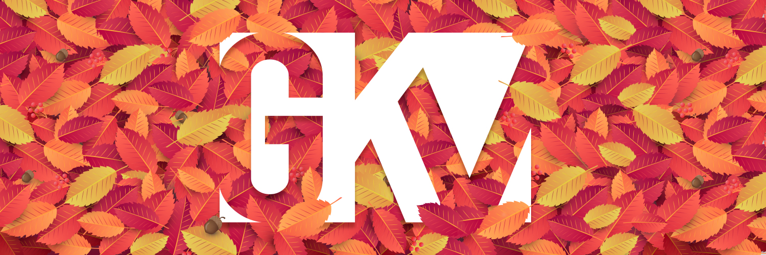 GKV_FALL_Option1