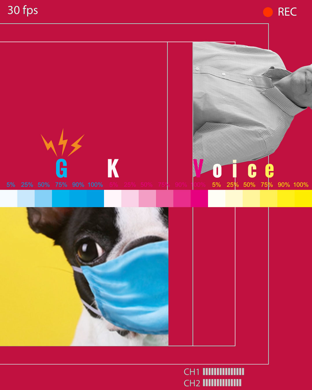 GKVoice_v2