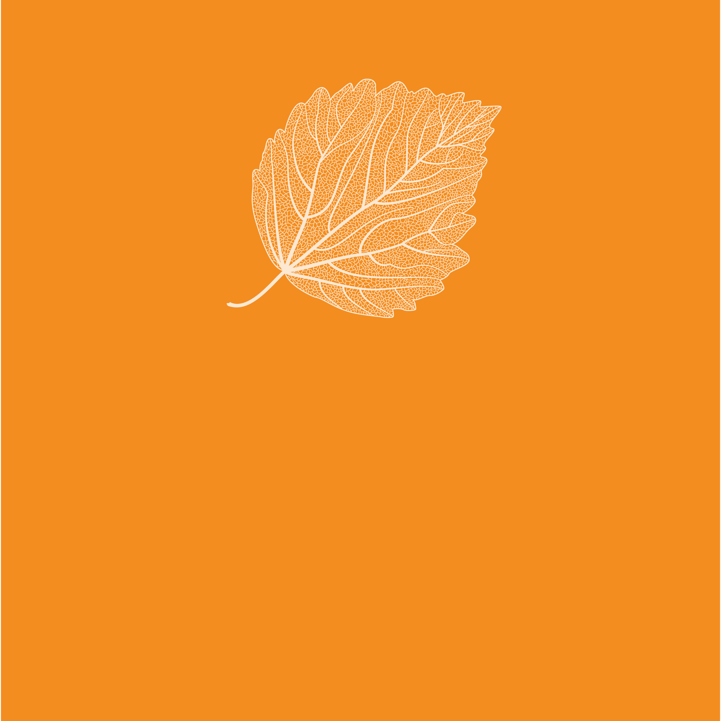 1_gkv_fall_post-04