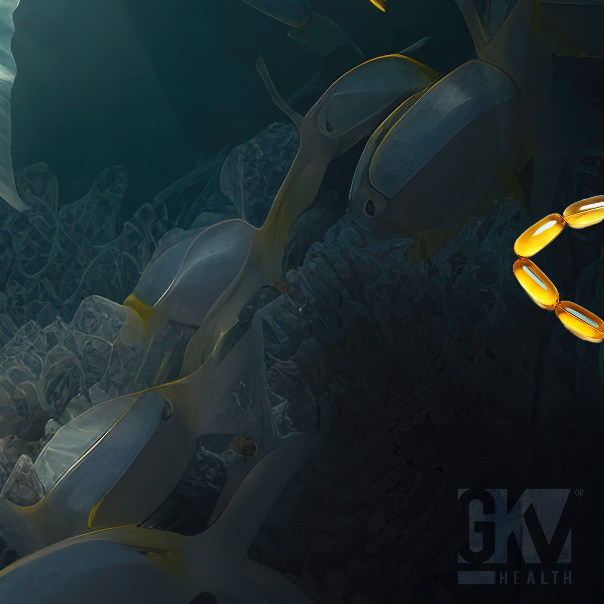 Omega3_1