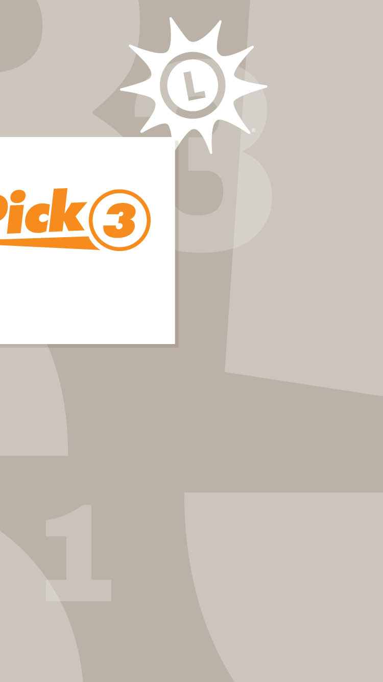 LoopMe_FullScreenVideoSkin_Mobile_v1__1